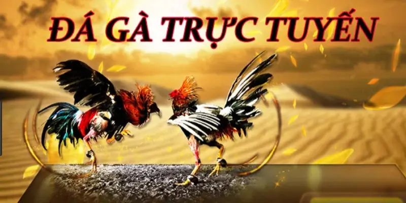 Giao diện đá gà 32WIN trực quan