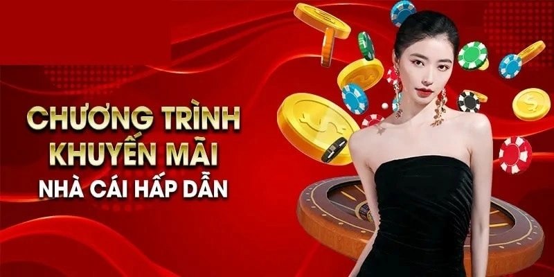 Chương trình khuyến mãi hấp dẫn