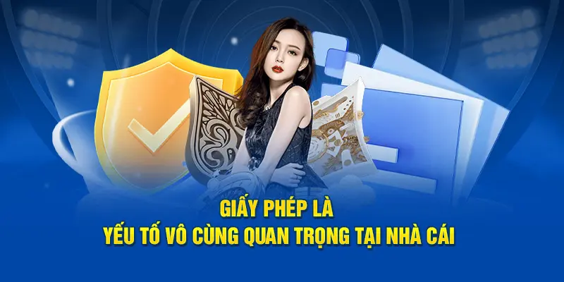 Ý nghĩa của từng giấy phép hoạt động